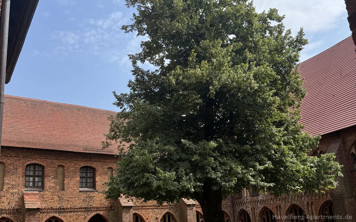 Kreuzganghof mit Baum