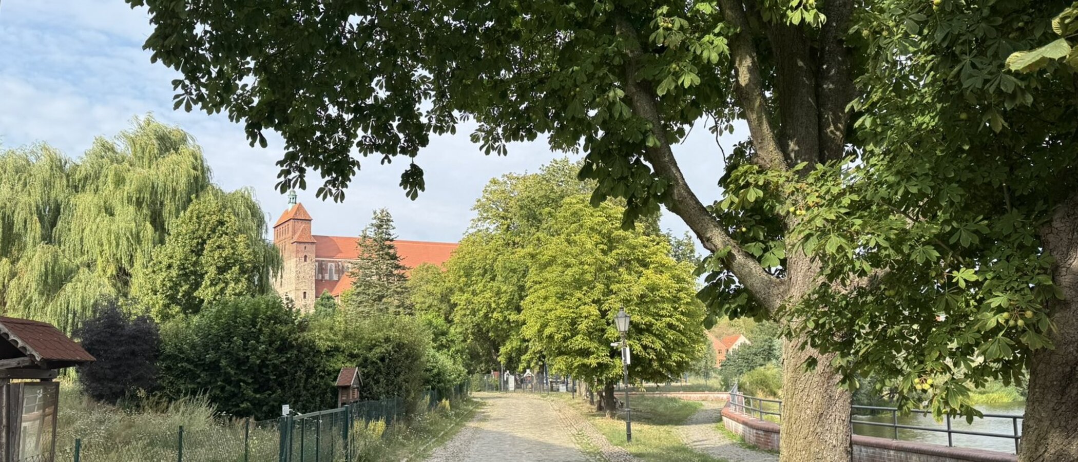 Havelvorland Havelberg Blick zum Dom