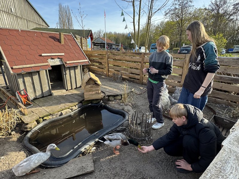 Tiere auf der Campinginsel